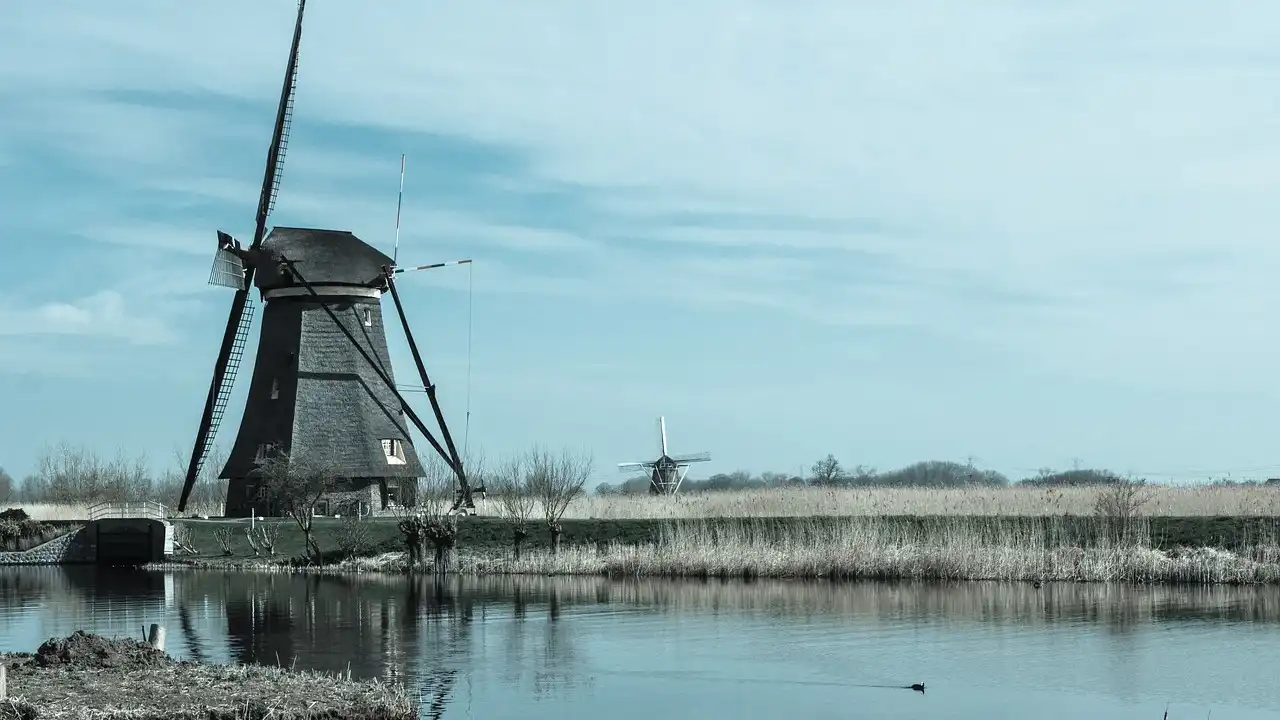 Dutch Sentence Structure And Word Order Explained