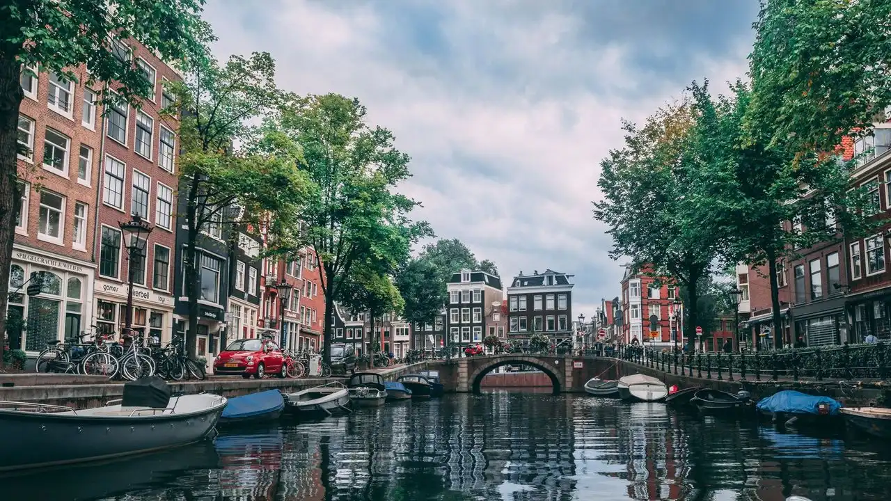 Dutch Separable Verbs Explained With Real-World Examples