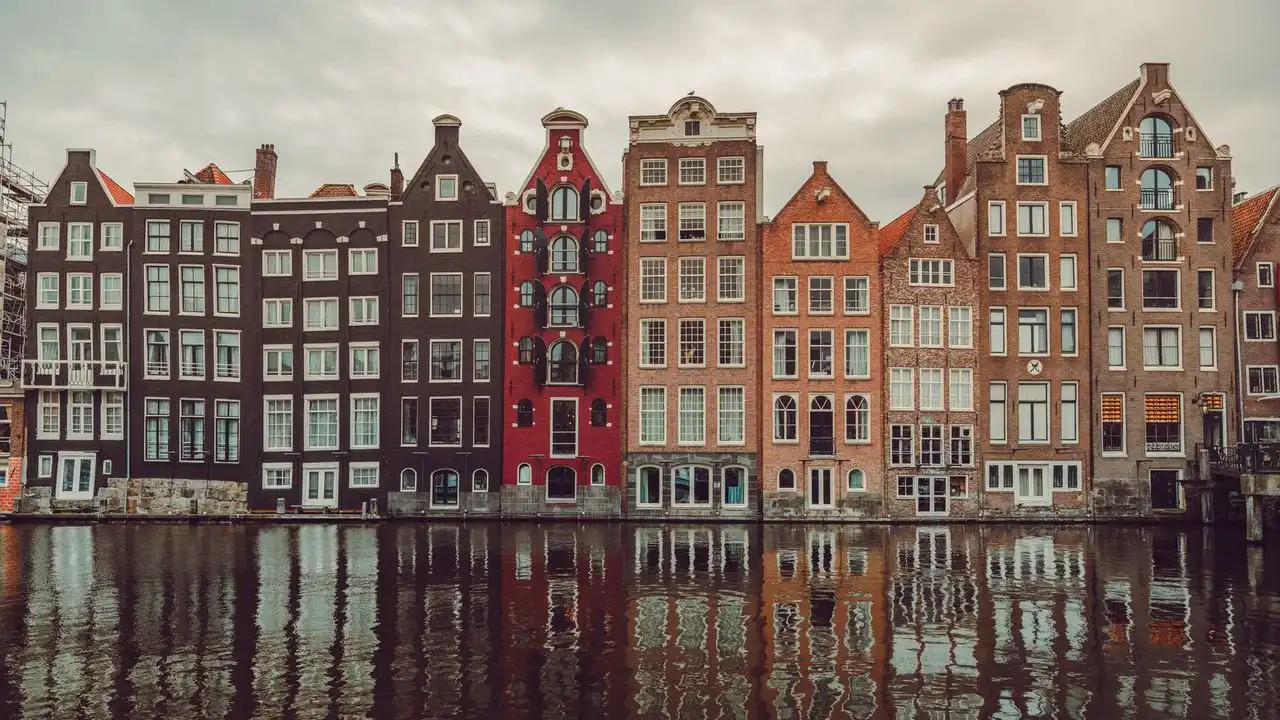 Flemish And Netherlands Dutch Have Distinct Differences