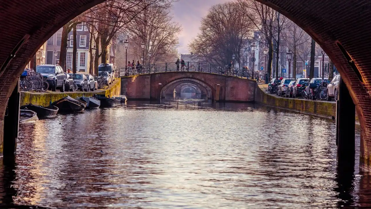 Learning Dutch Will Improve Your Daily Life In The Netherlands