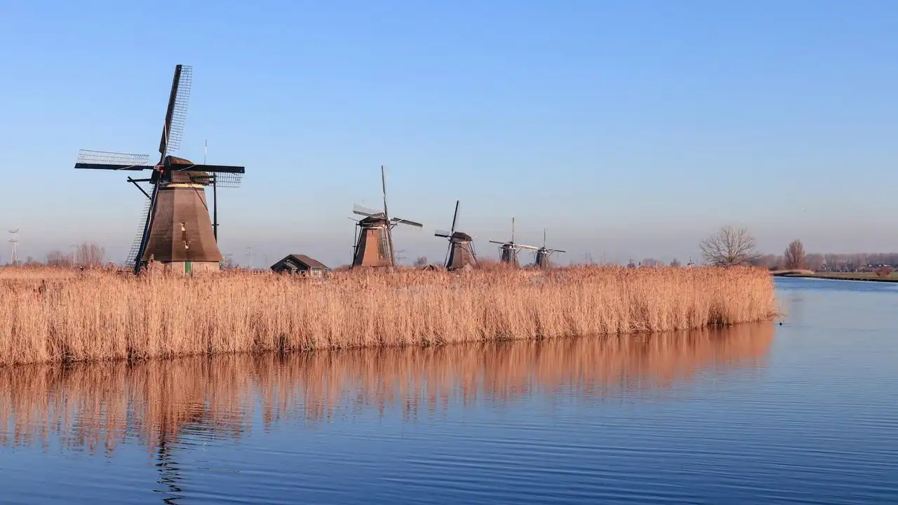 Top Recommended Apps To Learn Dutch